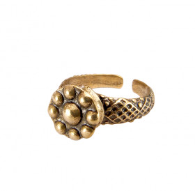 Ilyinsky ring