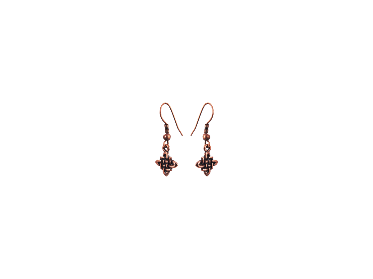 Earrings "Sign of Svarog"