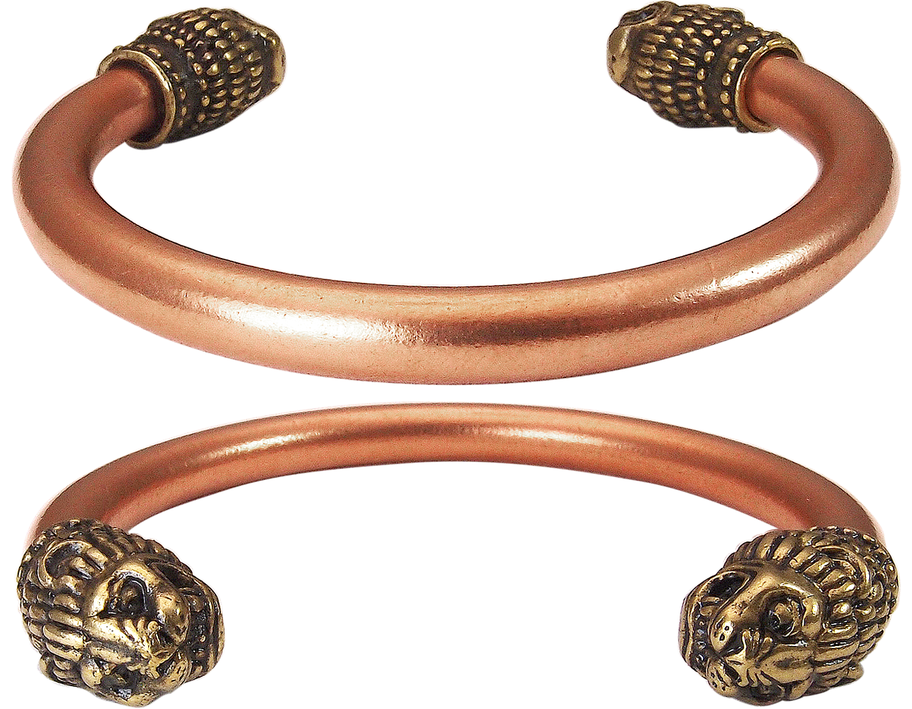 Bracelet "Scythian lions"