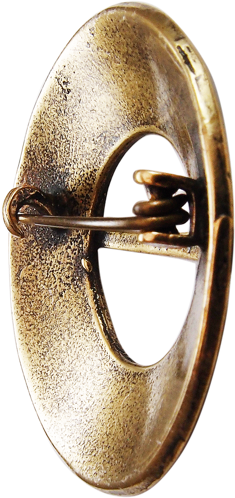 Goatmodemyansk fibula