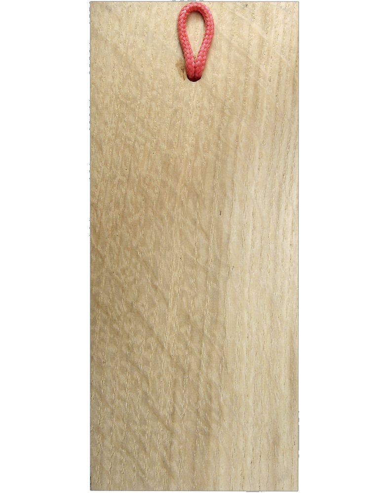 Plaque 55Х130 “Seal of Yaroslav the Wise. XI century. "